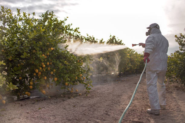 Best Mosquito Control Services  in Rutgers University Livingston Campus, NJ
