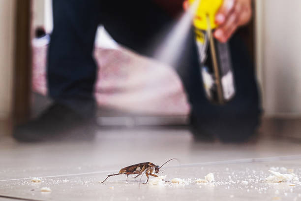 Best Emergency Pest Control  in Rutgers University Livingston Campus, NJ